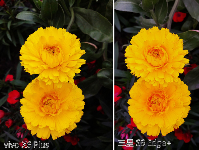 #够快才畅快#能拍5200W象素？X6 Plus对比S6 Edge+