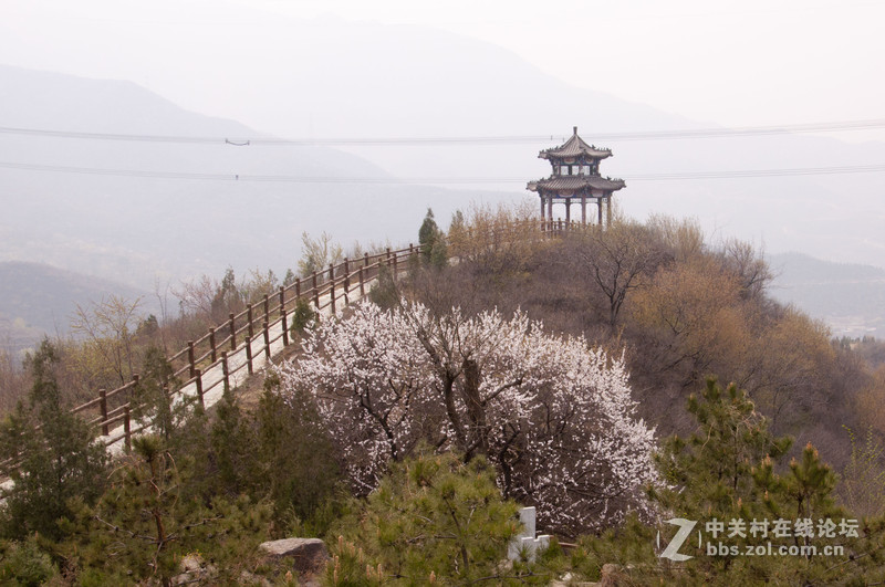 《天净沙·秋思》——京西古道一瞥