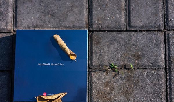 真的有德味？—HUAWEI 华为 Mate10 Pro 拍照评测