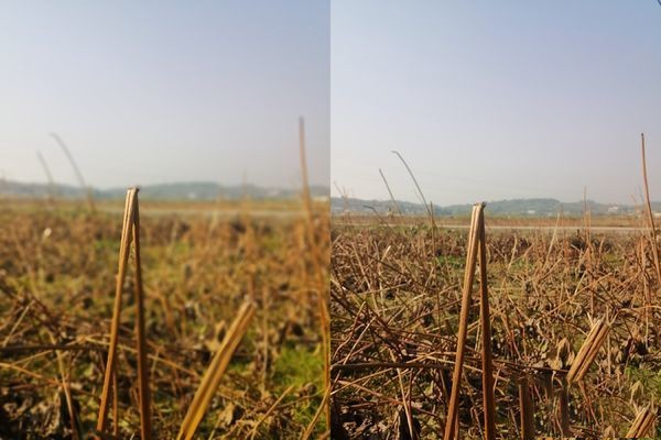 真的有德味？—HUAWEI 华为 Mate10 Pro 拍照评测