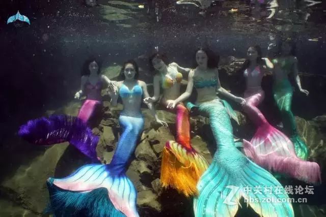 被《战狼2》超越之后，美人鱼们准备在价值工厂搞事了……