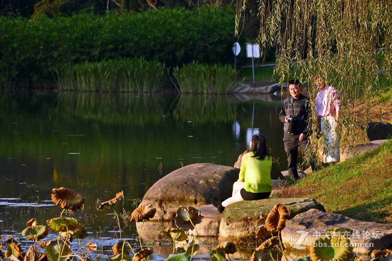 张家山公园之斜阳
