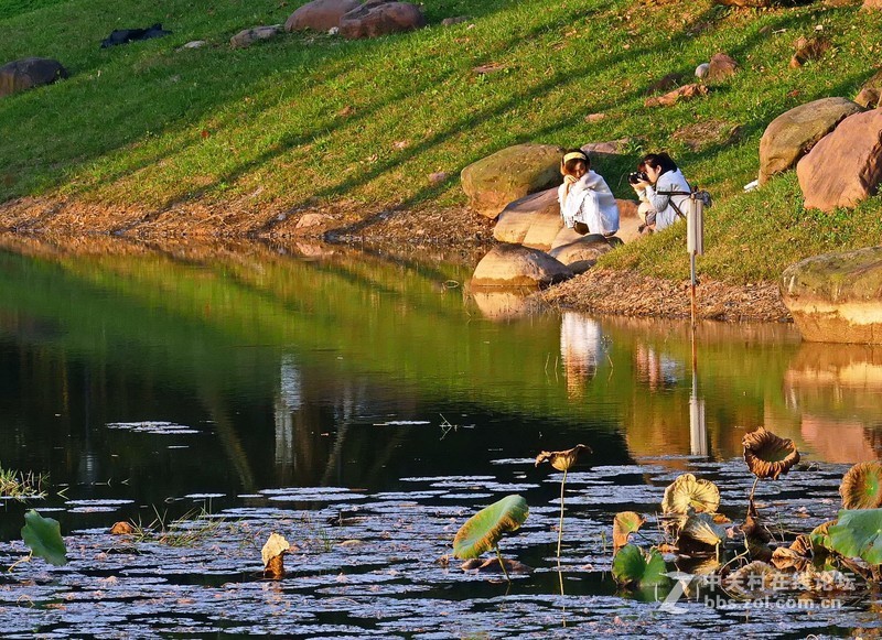 张家山公园之斜阳