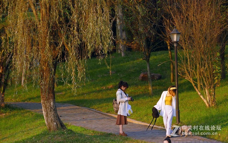 张家山公园之斜阳