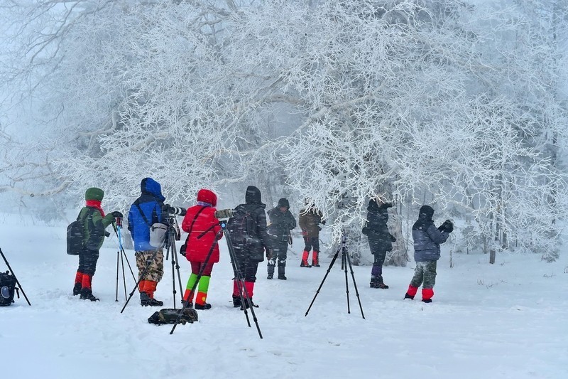 《冬日东北》冬日东北冰天雪地，寒风刺骨。就是有一帮人，硬是冒着狂风走，，奔着风雪去。，奔着冰雪去，-中关村在线摄影论坛