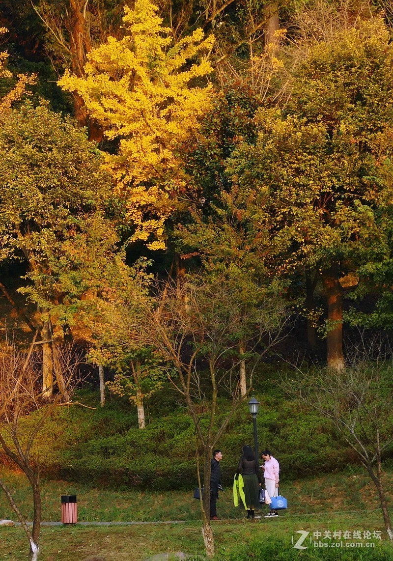 张家山公园之斜阳