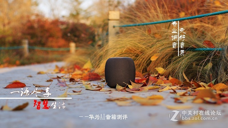 一语尽享，智慧生活 ——华为AI音箱测评