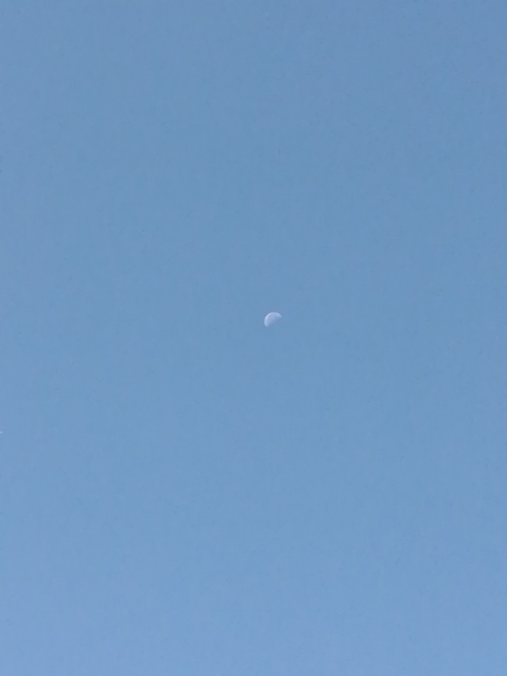 发布几张我拍的图