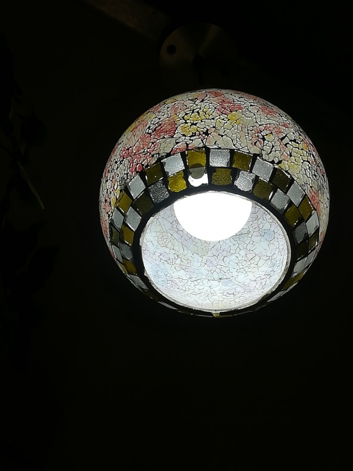 发布几张我拍的图