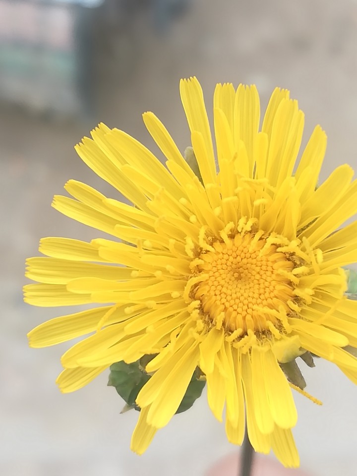 发布几张我拍的图