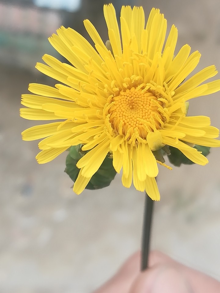 发布几张我拍的图