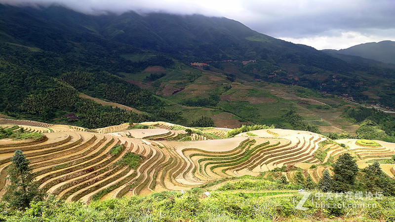 华为P10手机广西旅游照