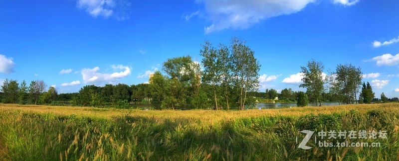 【手机摄影】大美阜阳·魅力颍泉