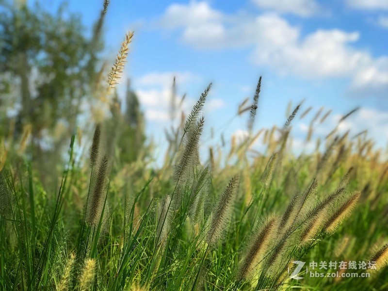 【手机摄影】大美阜阳·魅力颍泉