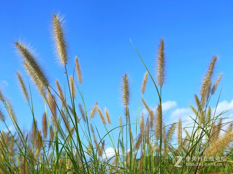 【手机摄影】大美阜阳·魅力颍泉