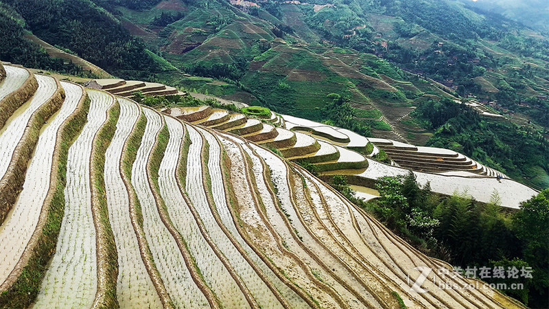 华为P10手机广西旅游照