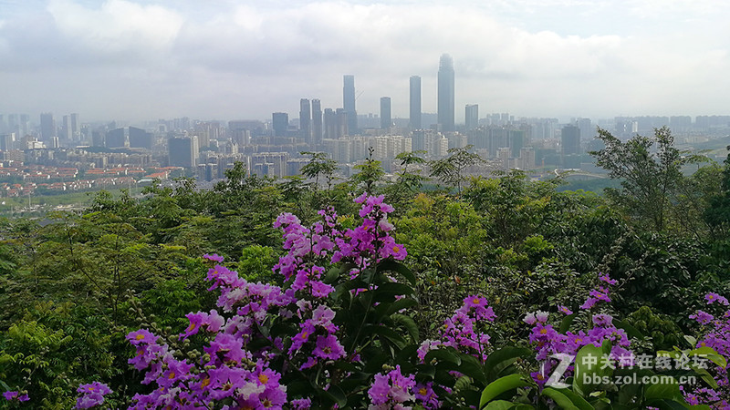 华为P10手机广西旅游照