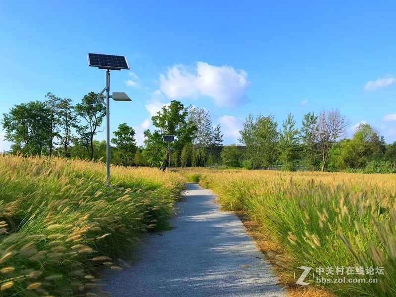 【手机摄影】大美阜阳·魅力颍泉