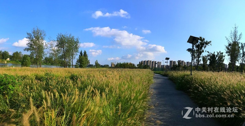 【手机摄影】大美阜阳·魅力颍泉