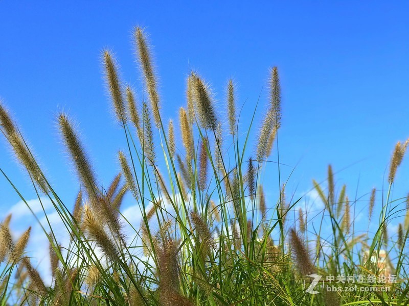 【手机摄影】大美阜阳·魅力颍泉