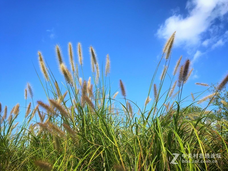 【手机摄影】大美阜阳·魅力颍泉