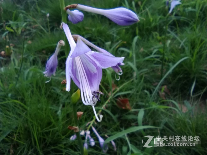 荣耀畅玩平板note摄影评测