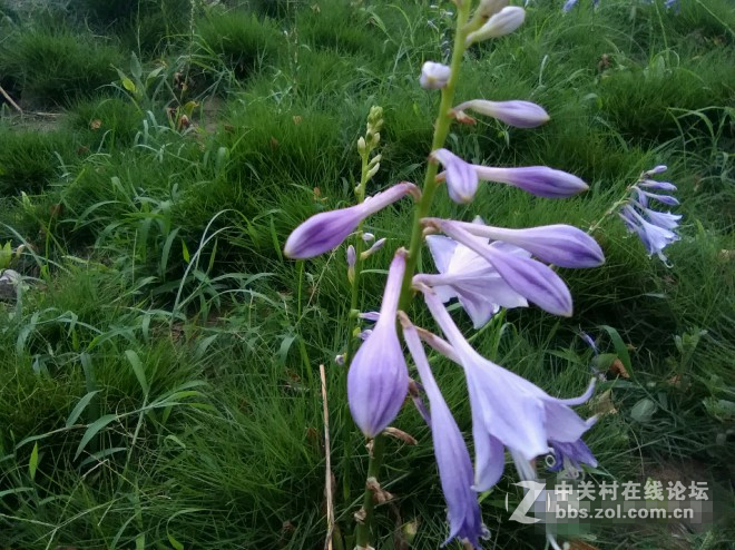 荣耀畅玩平板note摄影评测