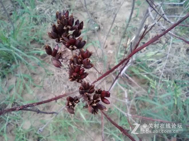 荣耀畅玩平板note摄影评测