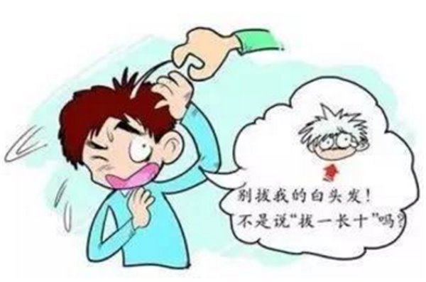 流言揭秘:白头发"拔一根长十根"说法不科学