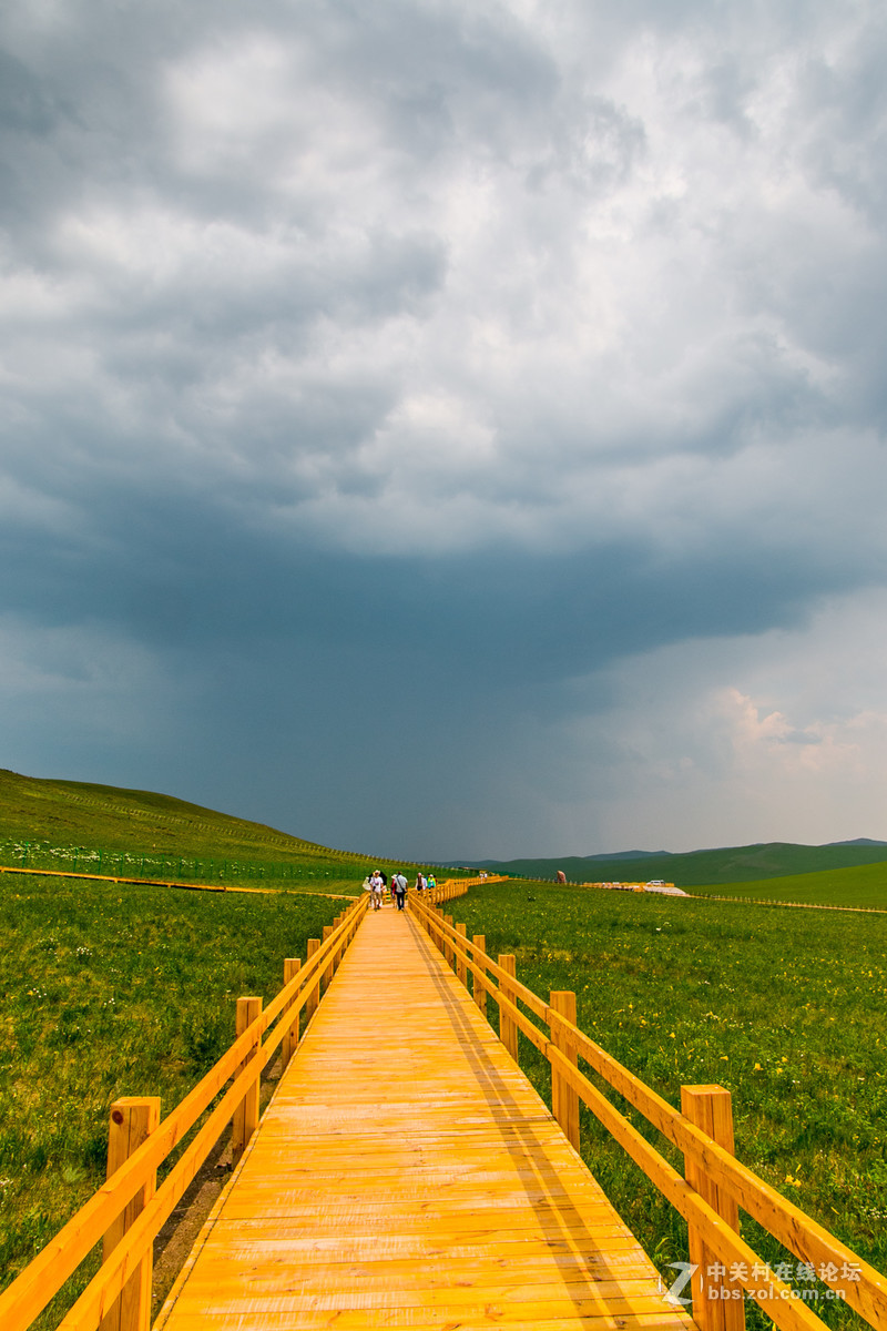 内蒙古乌拉盖草原风光之芍药谷景区