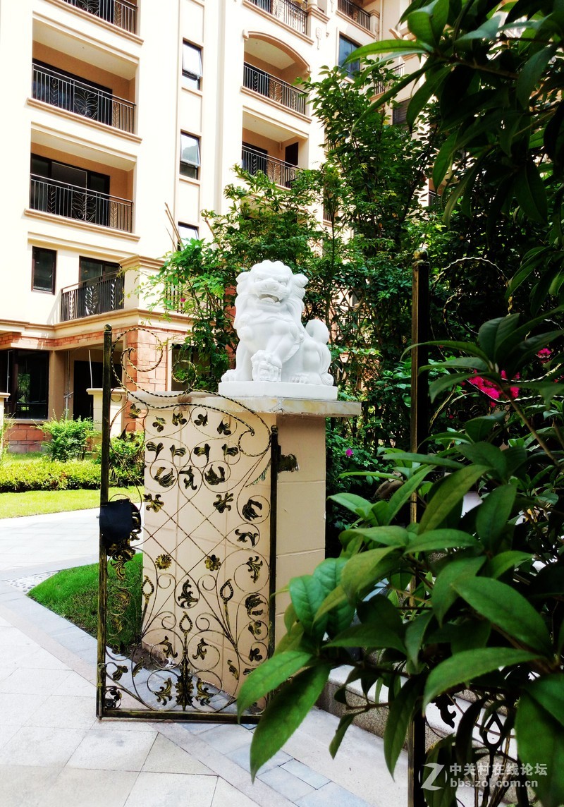 #最美双城记，X5Pro极夜黑试用#【我带着你（X5Pr）你带着双面玻璃，薇妹子和一起飞】