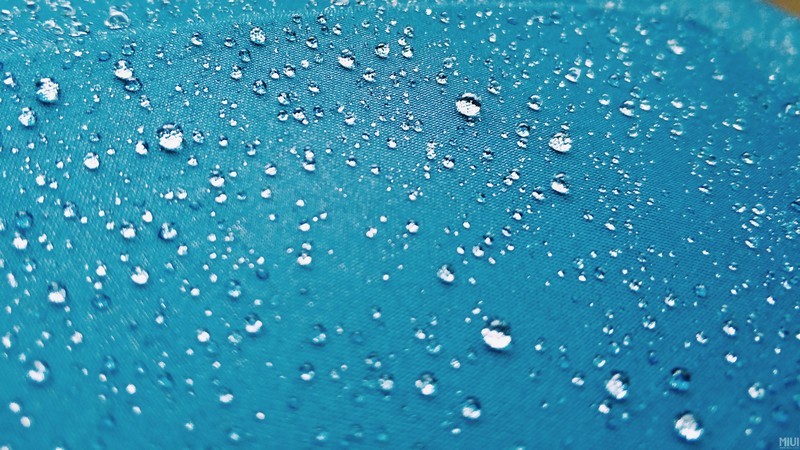 渣渣照片又来了