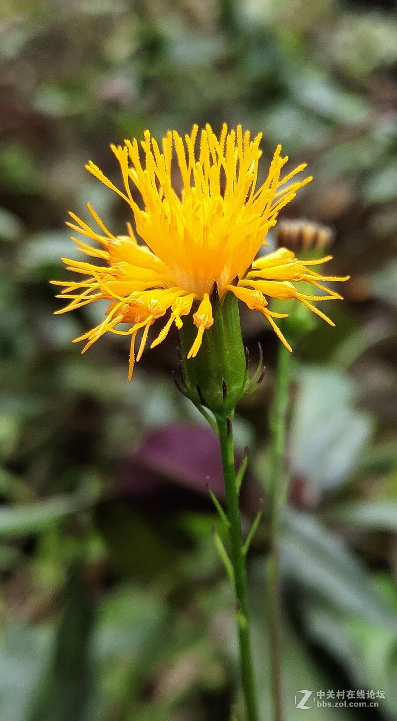 16th拍了一组凌乱的照片