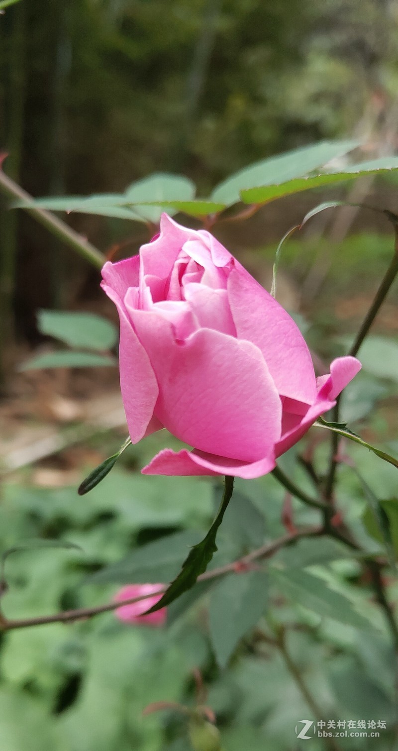 16th拍了一组凌乱的照片