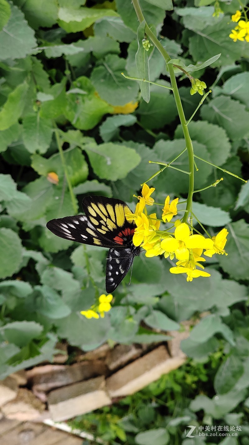 16th拍了一组凌乱的照片