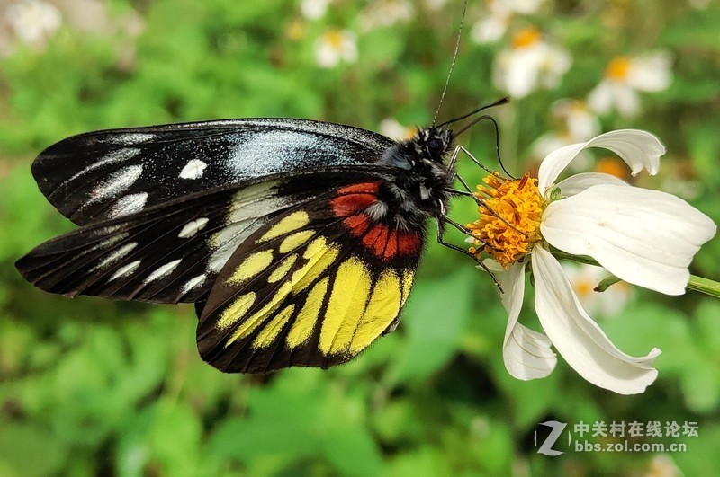 16th拍了一组凌乱的照片