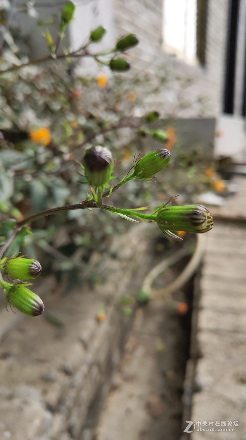 16th拍了一组凌乱的照片