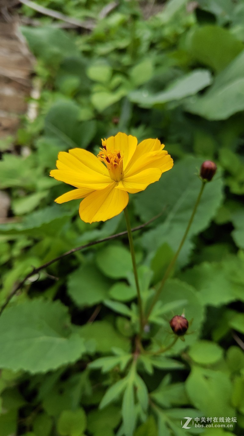 16th拍了一组凌乱的照片