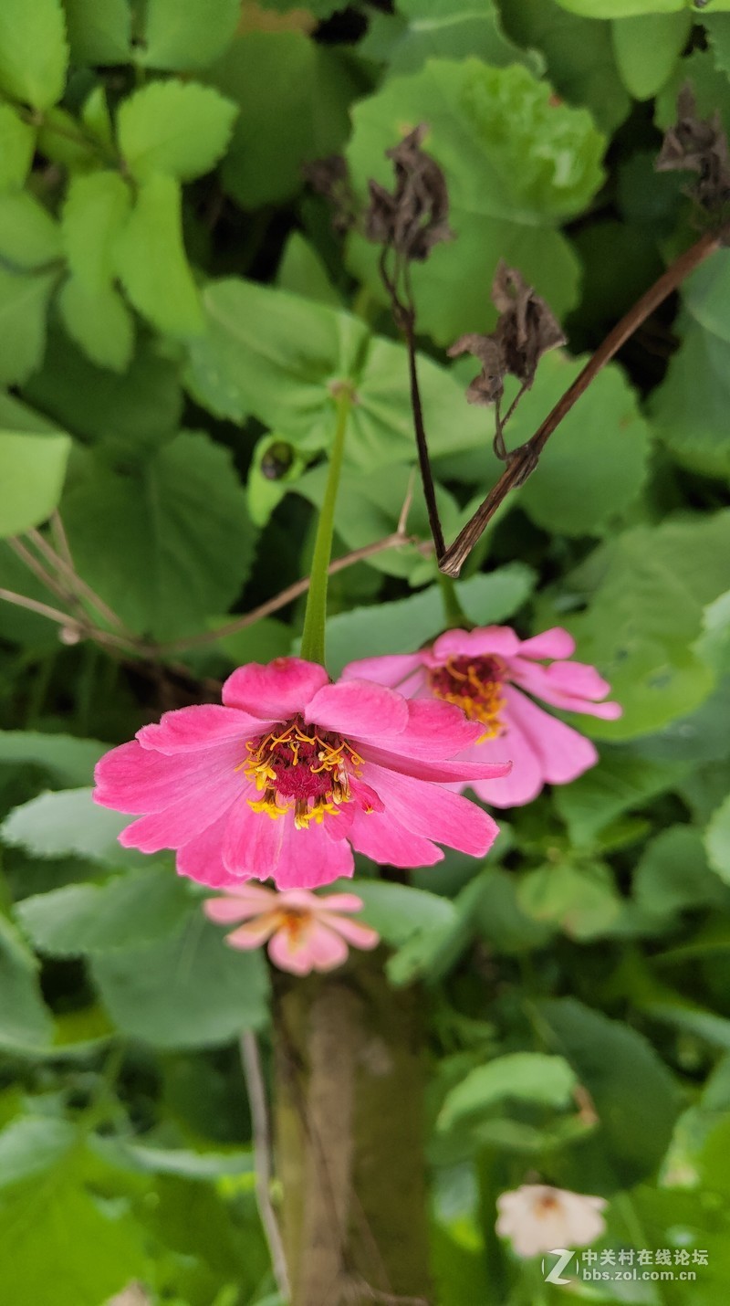 16th拍了一组凌乱的照片