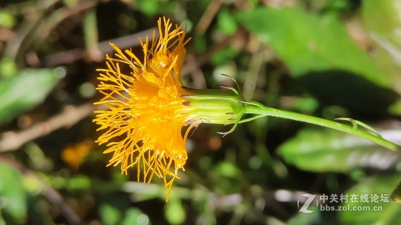 16th拍了一组凌乱的照片