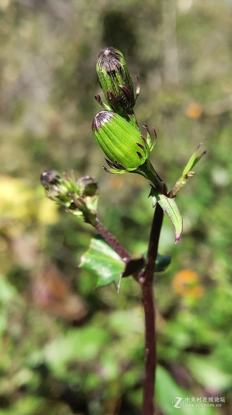 16th拍了一组凌乱的照片