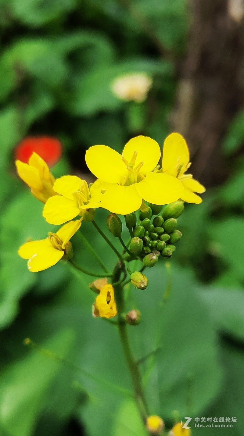 16th拍了一组凌乱的照片