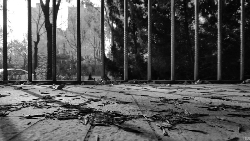 渣渣照片又来了