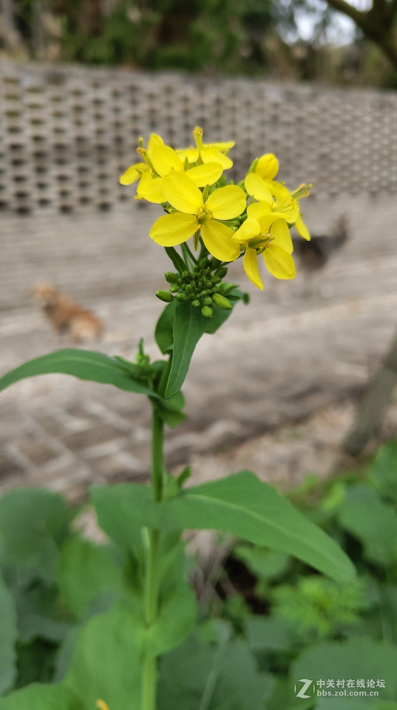 16th拍了一组凌乱的照片
