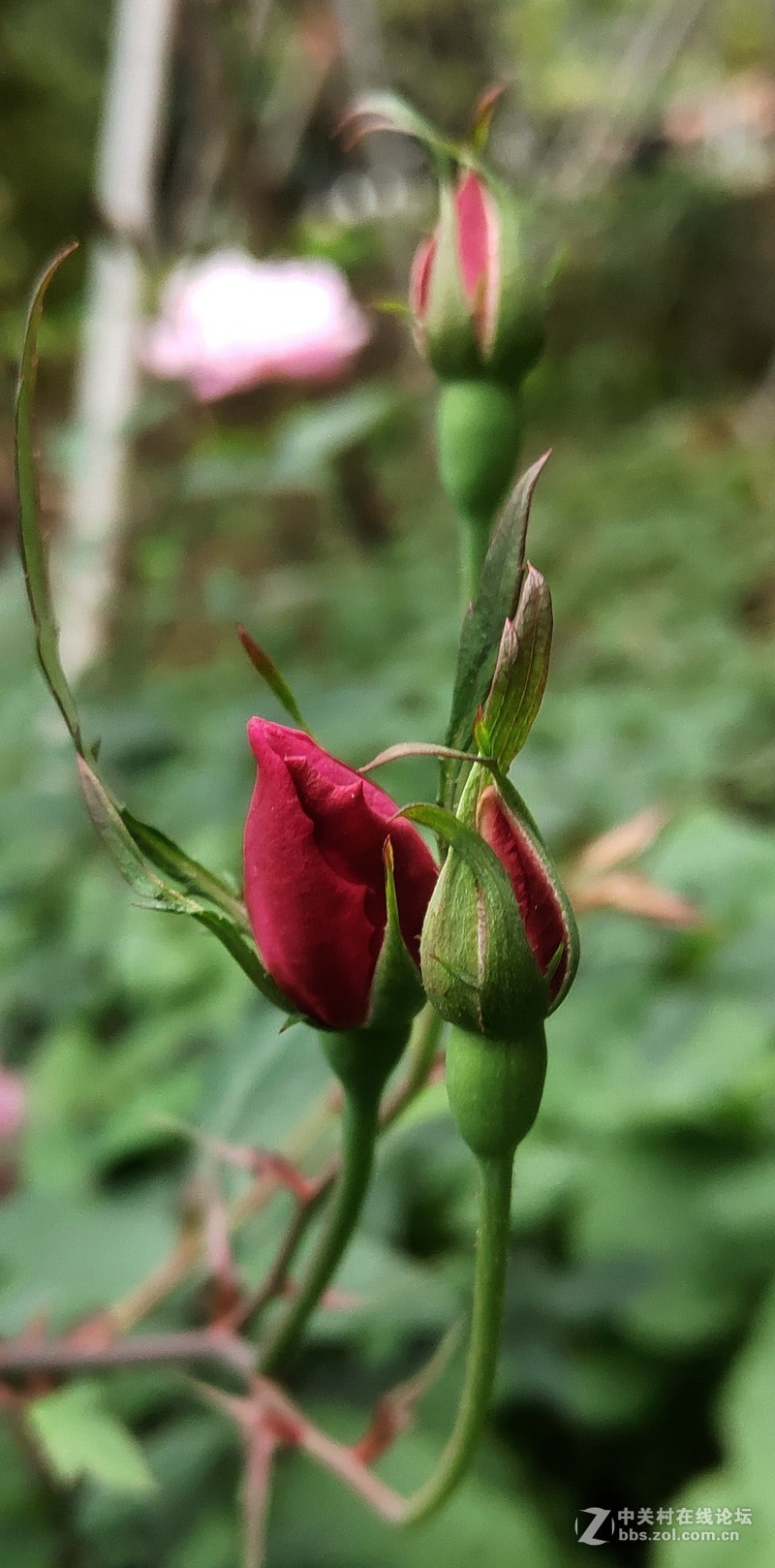 16th拍了一组凌乱的照片