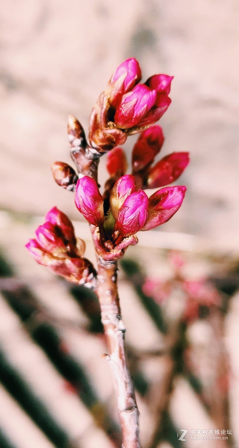 16th拍了一组凌乱的照片