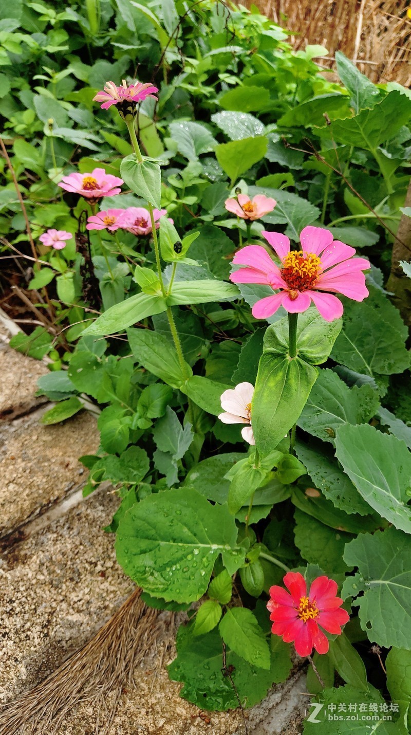 16th拍了一组凌乱的照片