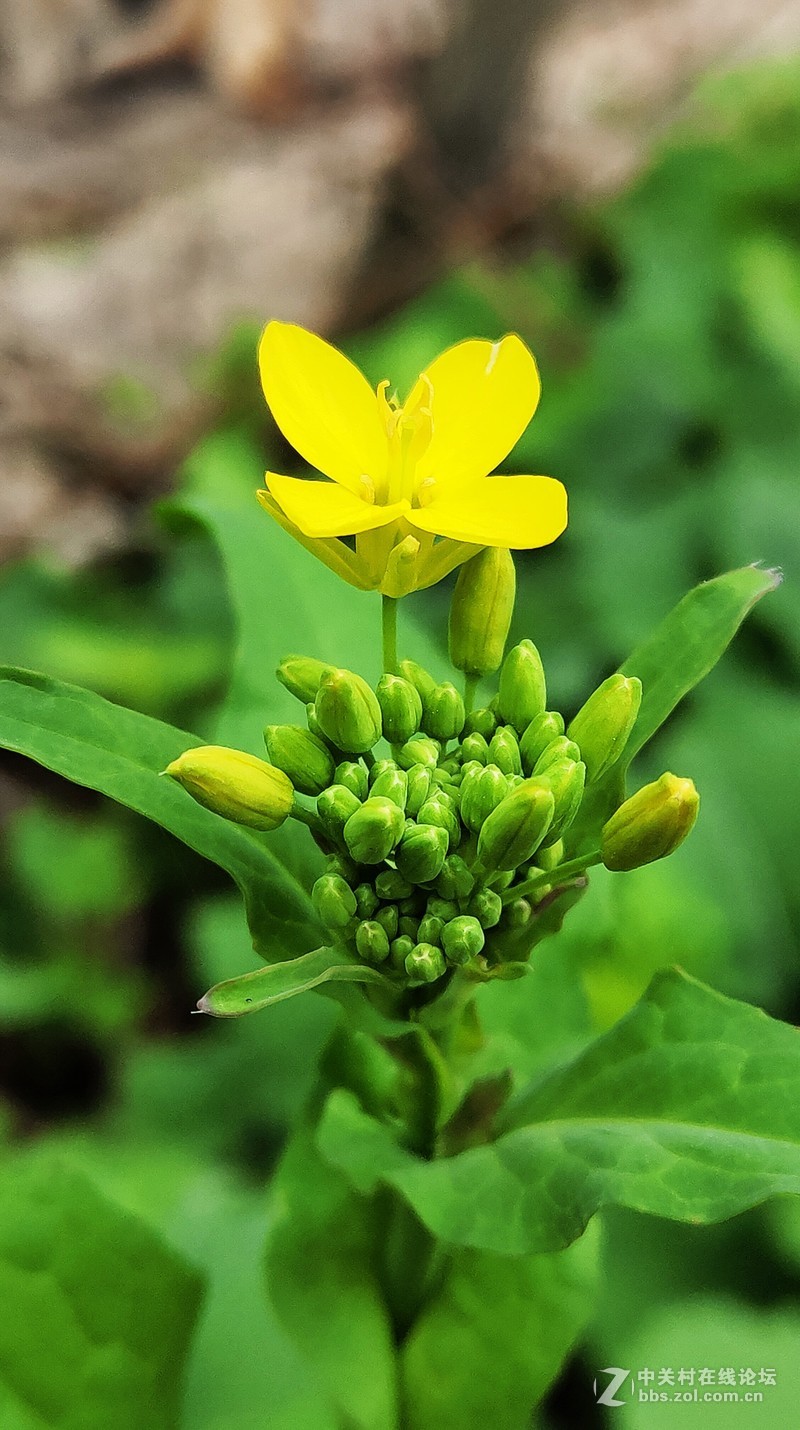16th拍了一组凌乱的照片