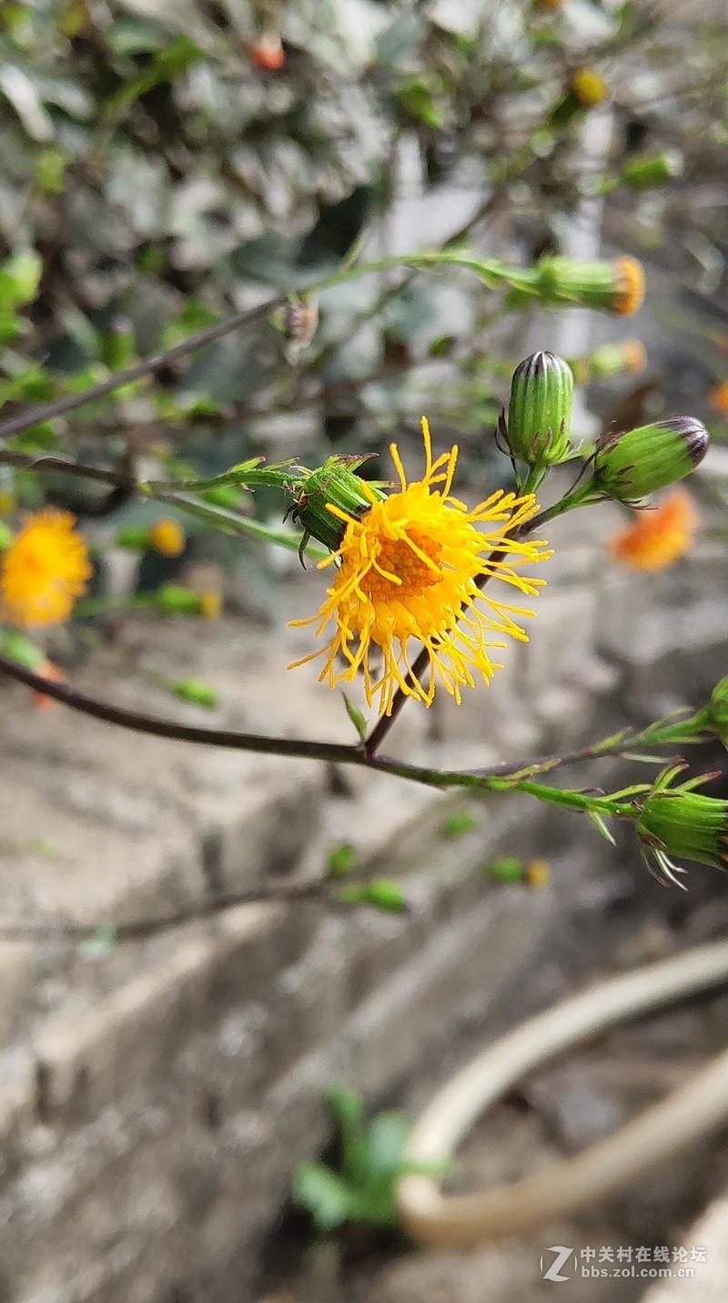 16th拍了一组凌乱的照片