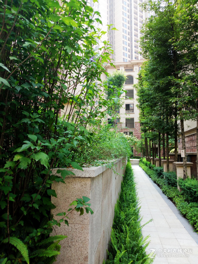 #最美双城记，X5Pro极夜黑试用#【我带着你（X5Pr）你带着双面玻璃，薇妹子和一起飞】